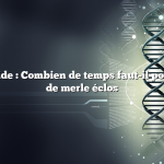 Réponse rapide : Combien de temps faut-il pour qu’un œuf de merle éclos